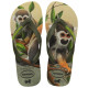 Havaianas Ipe